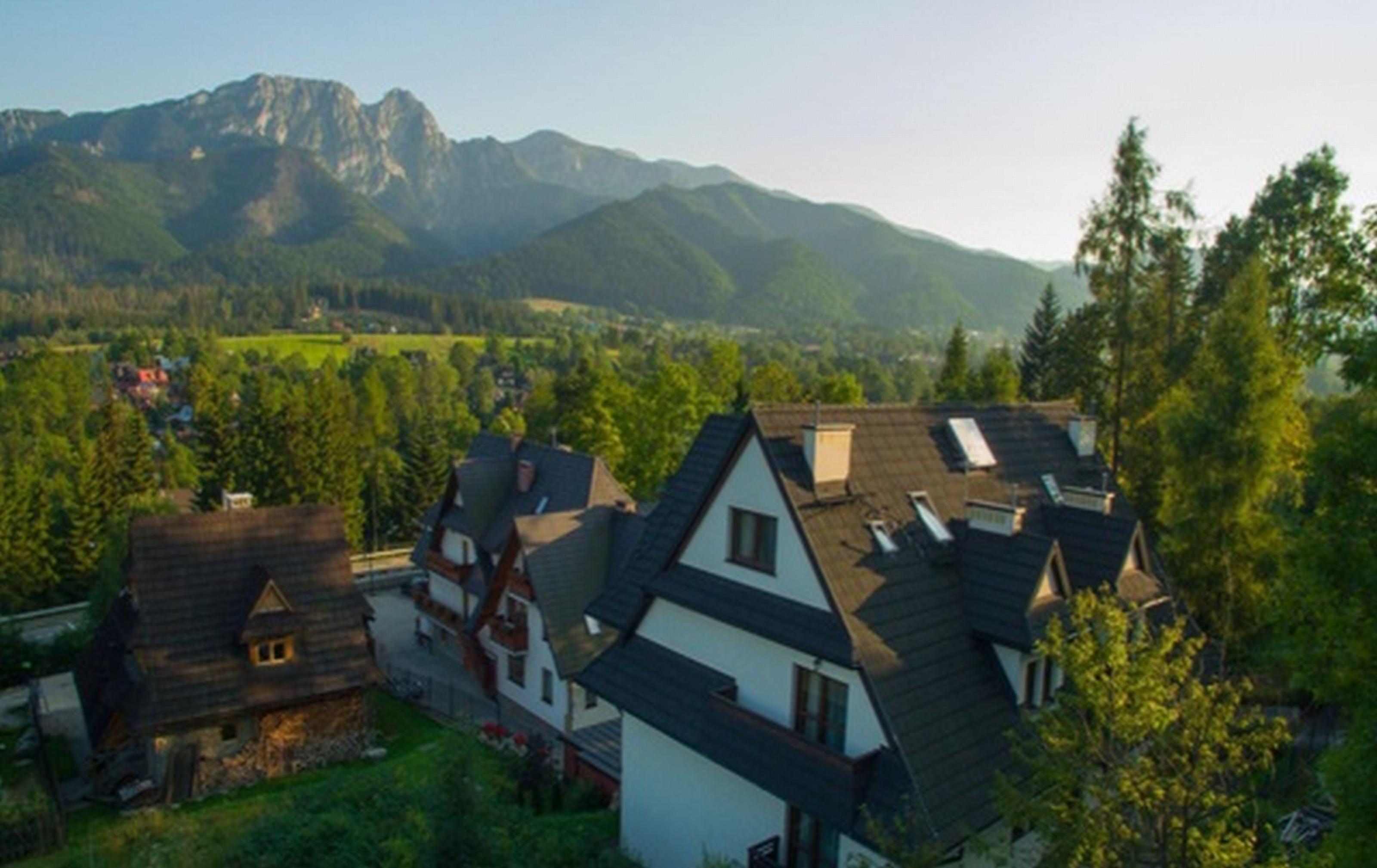 New Willa Jan Zakopane Exterior foto